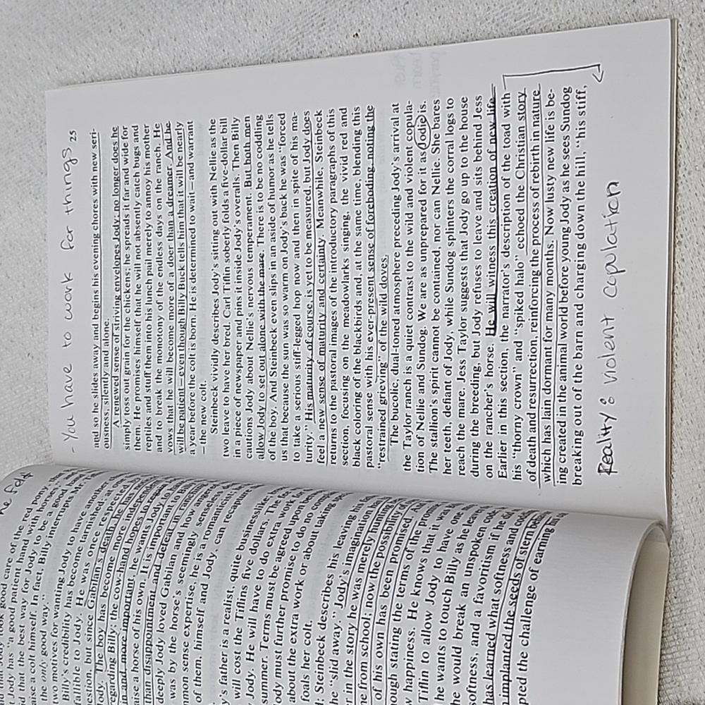Cliffs Notes - Bundle - Picture 3 of 12